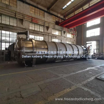 Commercial Industrial Vacuum Freeze Dryer